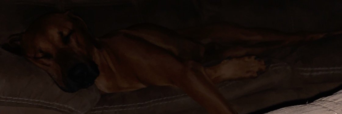 T_pot2's profile banner image