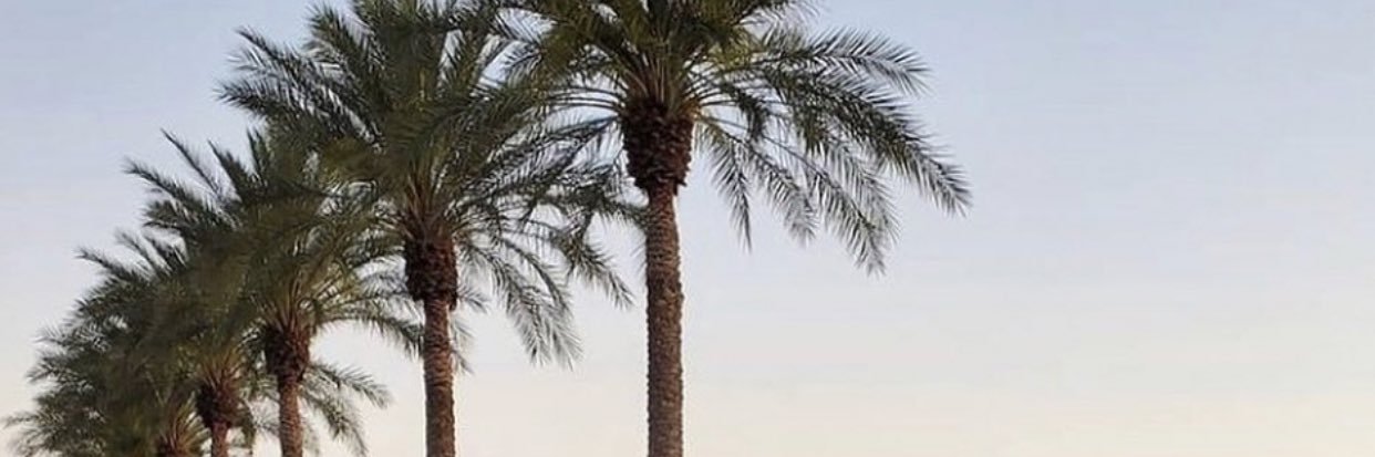 yqtrece13's profile banner image