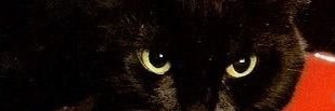 svancali's profile banner image