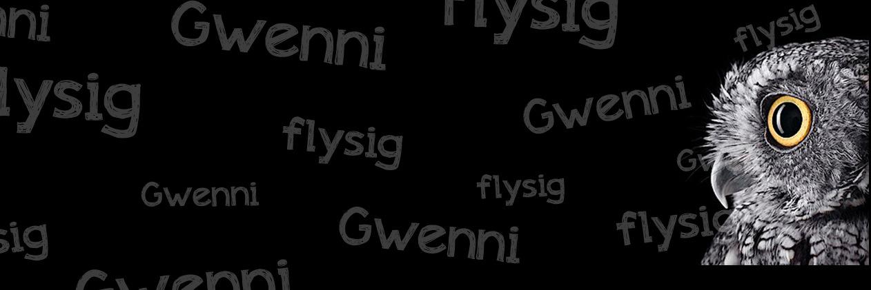 flysig's profile banner image