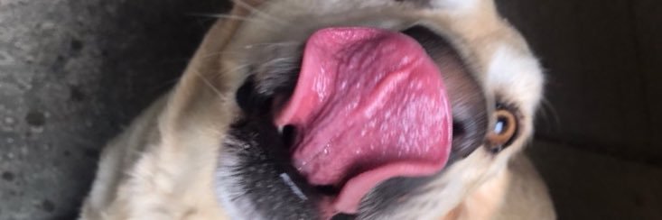 TShizzle10's profile banner image