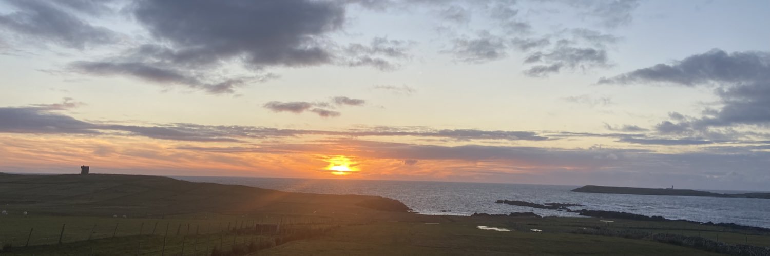 Laura McDonnell banner