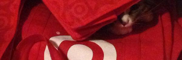 LBrake5044 Profile Banner