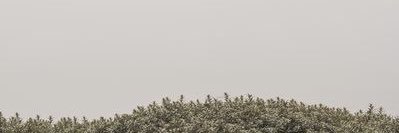 isawthisarticle's profile banner image