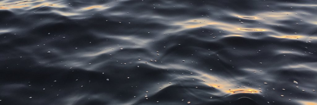 brasiproducer's profile banner image