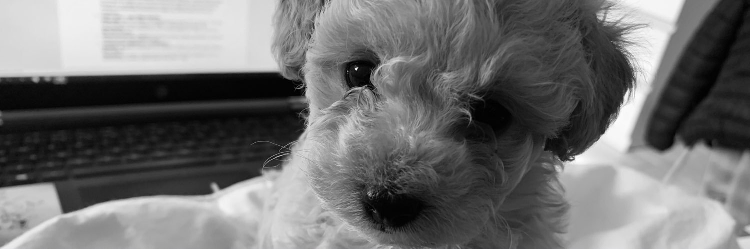 EtchartLuli's profile banner image