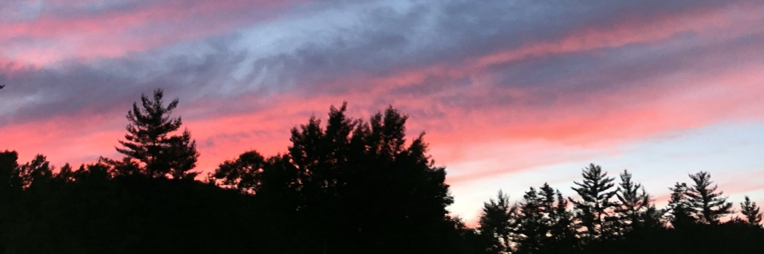 whatylerk's profile banner image