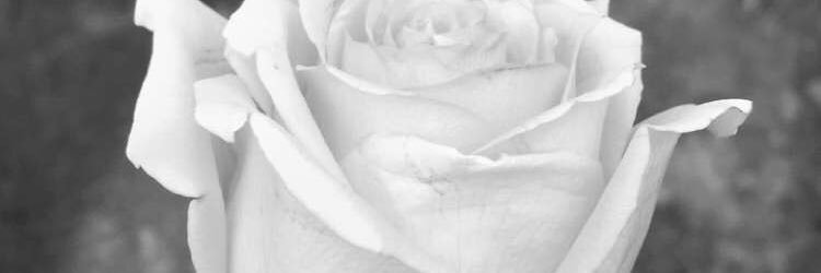 _tammyfelix's profile banner image