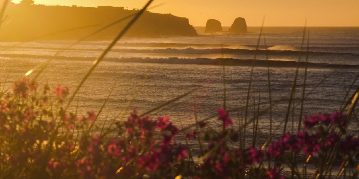 adelasurf's profile banner image