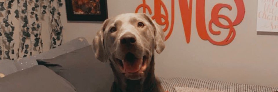 Alllypm's profile banner image