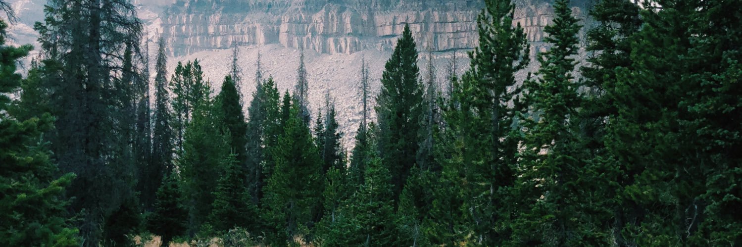 toomerang_19's profile banner image