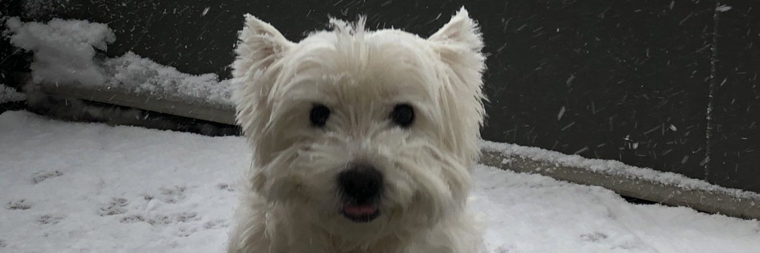Dylan_Ruff's profile banner image