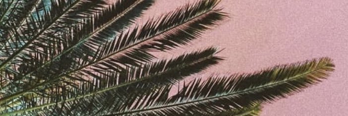cxdyab's profile banner image