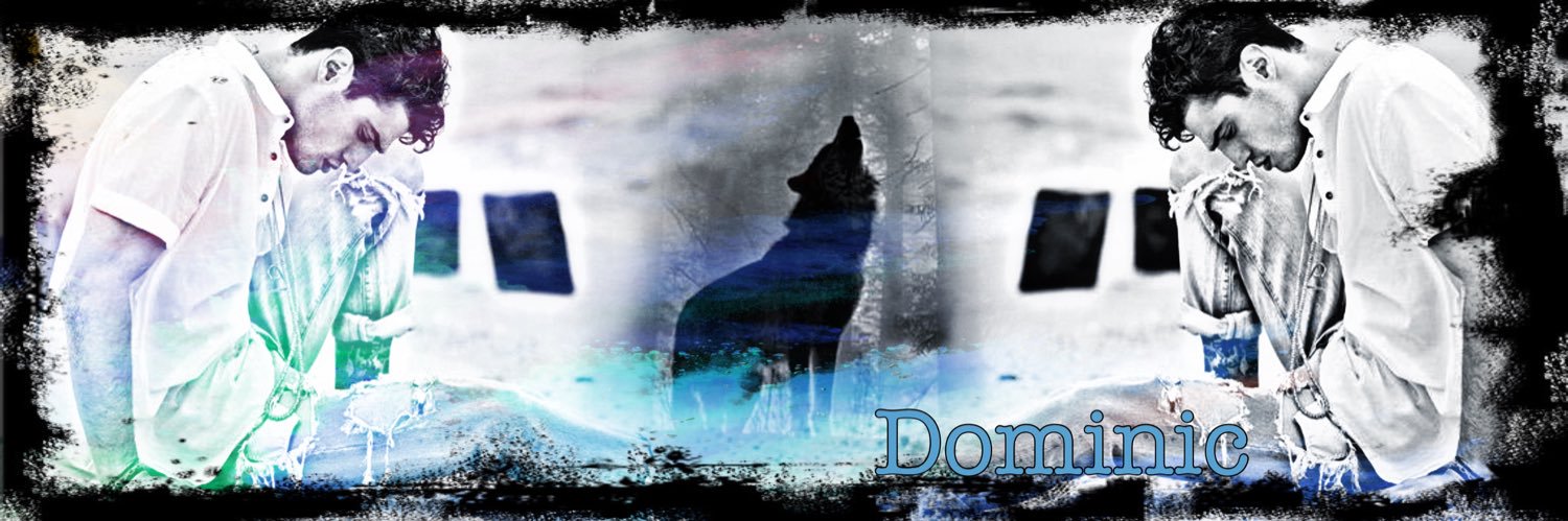 𝔻ominic 𝔾ray banner