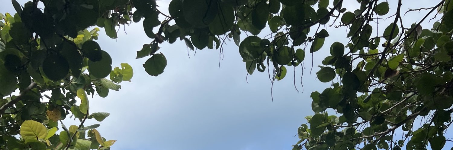 lexcomeax's profile banner image