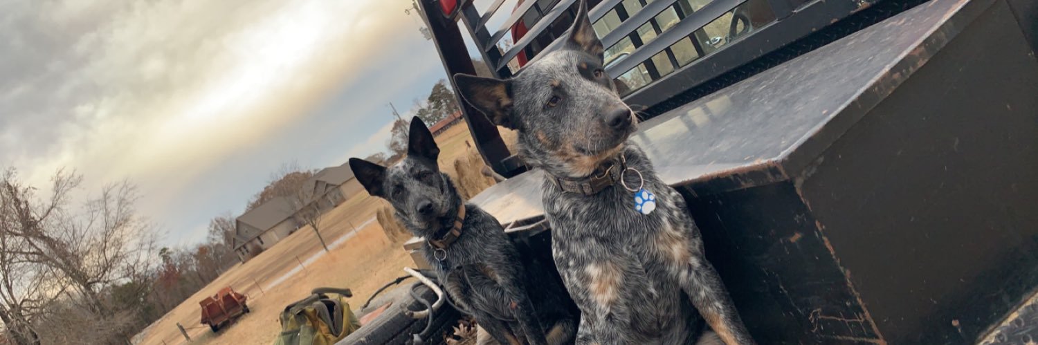 Brucey_15's profile banner image