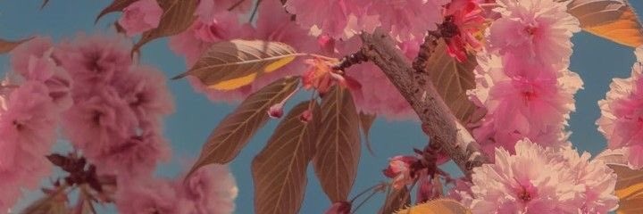 Sam23495's profile banner image