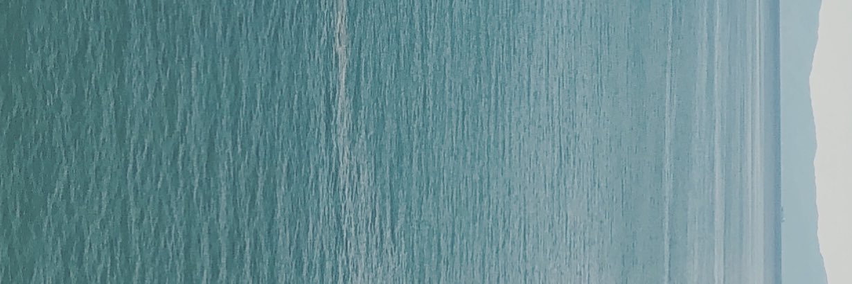 t_maeda's profile banner image