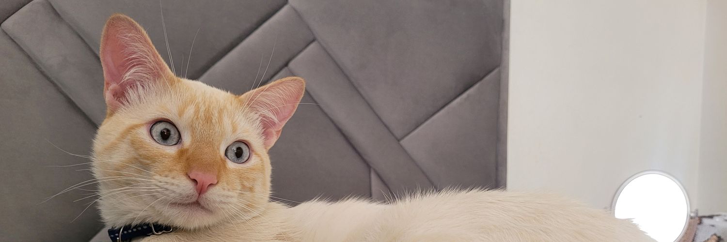 18_laug's profile banner image