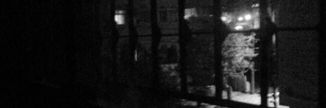 dl377777's profile banner image