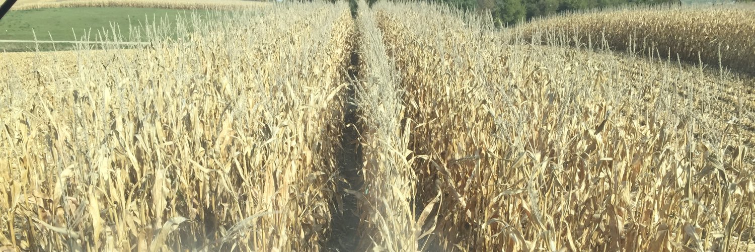 timmoline's profile banner image