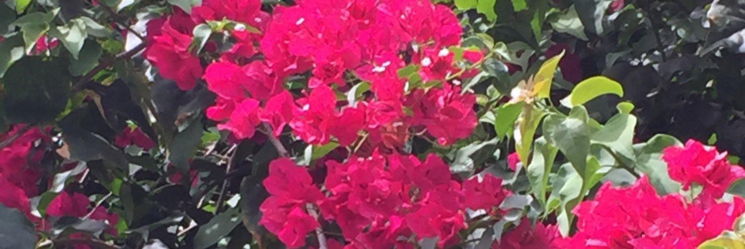 Ratisha777's profile banner image