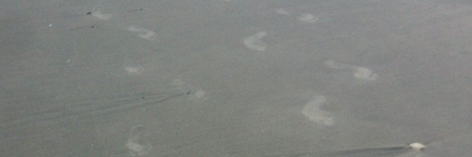 YGemz's profile banner image