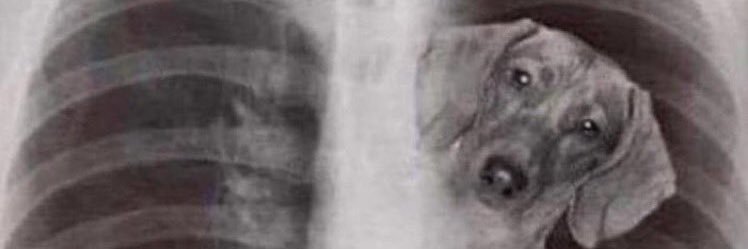 GoodGuyGhib's profile banner image