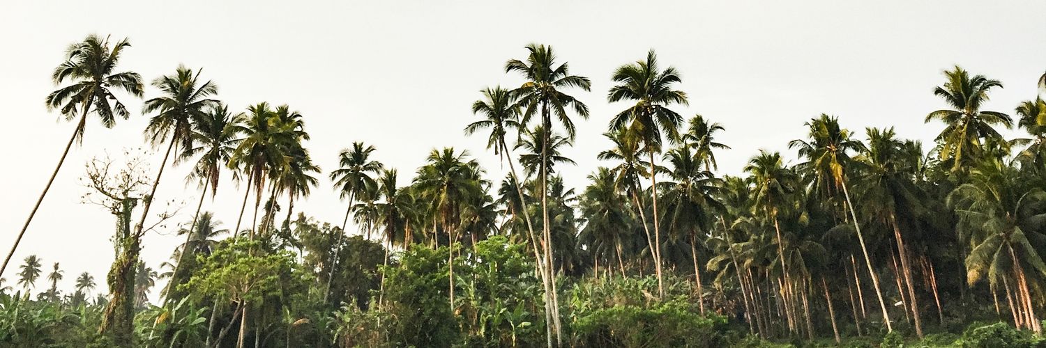 Jerome0601's profile banner image