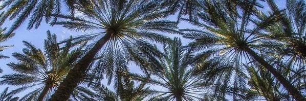 fmsk0's profile banner image