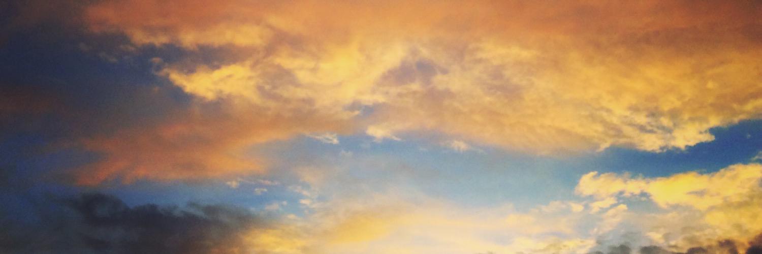 rzr banner