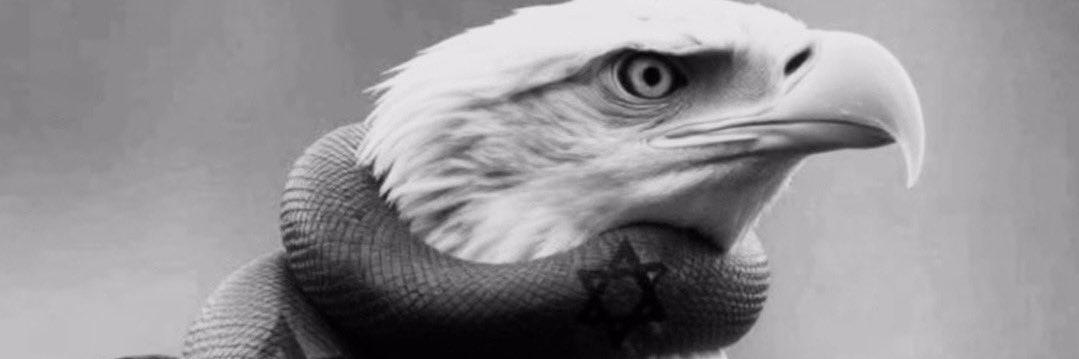MickeyMoose1776's profile banner image