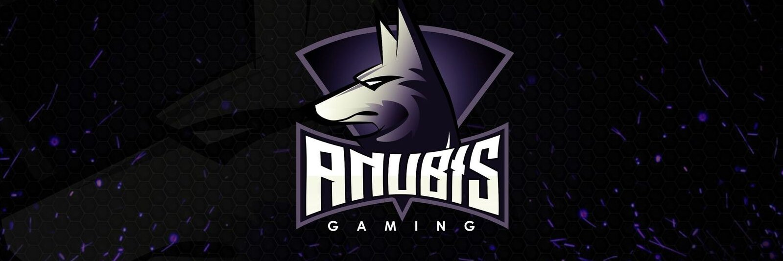 DubOfficial_'s profile banner image
