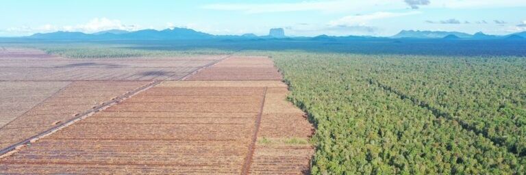 LinkARBorneo's profile banner image