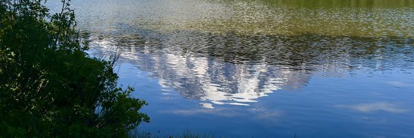 jedicath Profile Banner