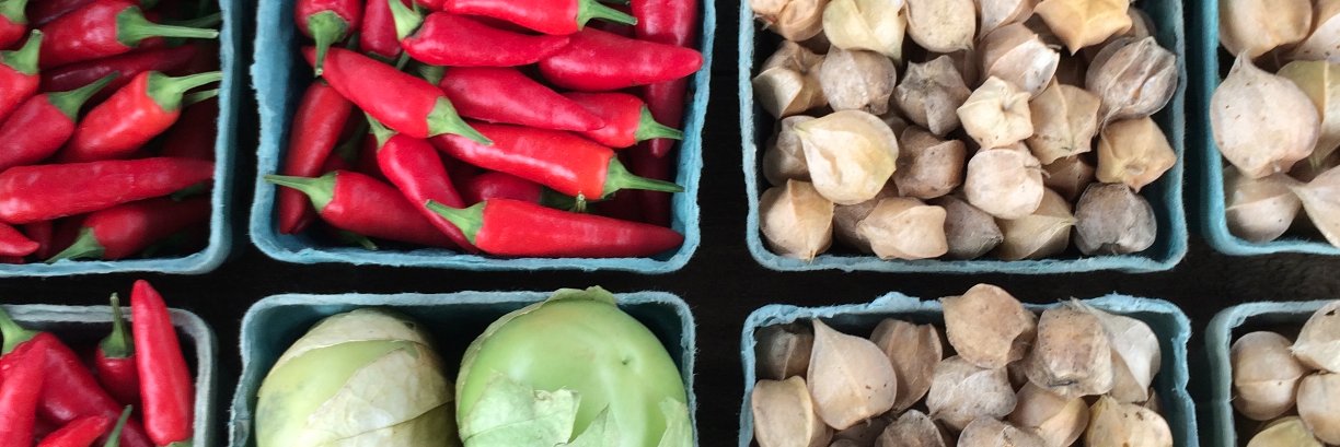 Alchemy Initiative banner