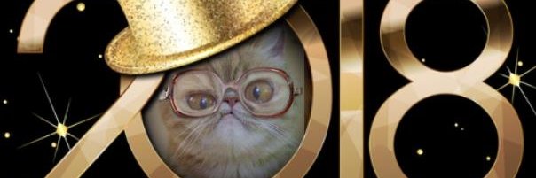 Humor_Animals's profile banner image