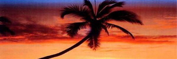 ReggaeUnity Profile Banner