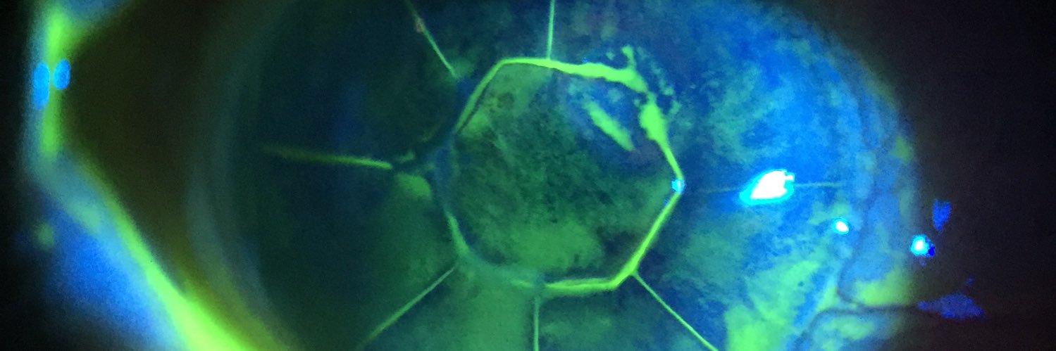 edigezir's profile banner image