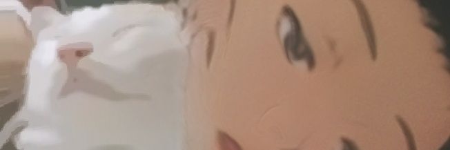 divyafbr's profile banner image