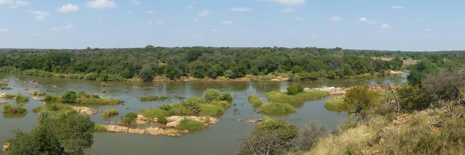 Fulvio Franchi banner