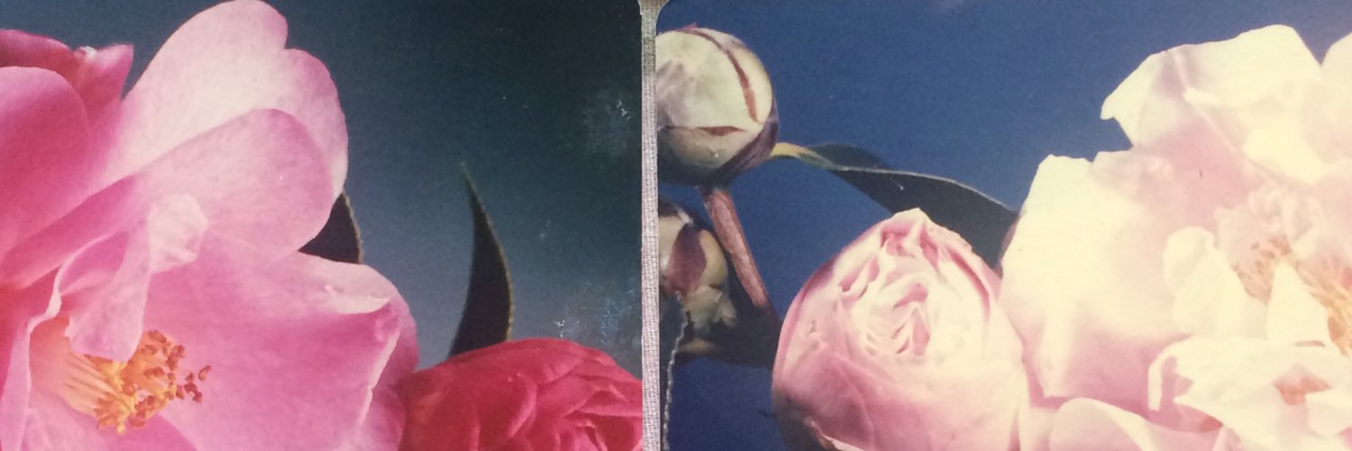 KanoaLloyd's profile banner image