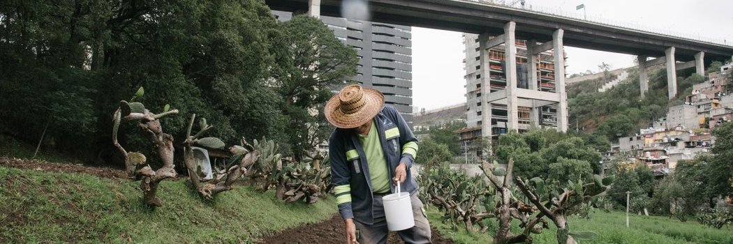 Mariana Orozco banner