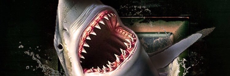 _halilguler_'s profile banner image