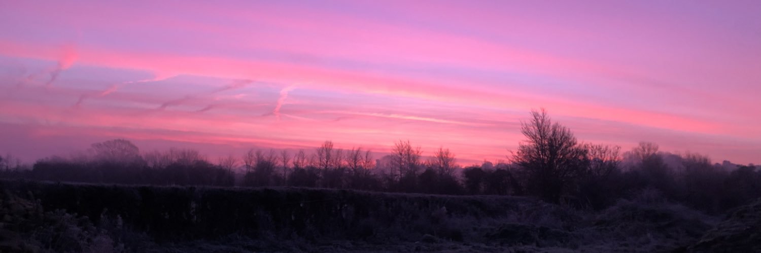 Antony Bulley banner