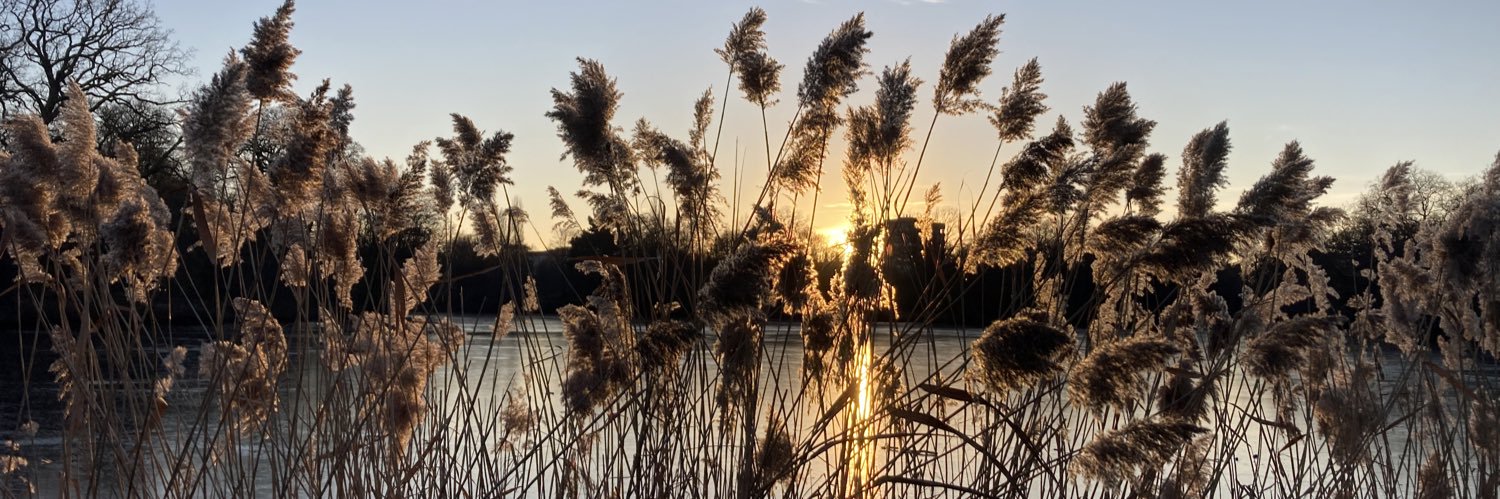 Wendy Reed 🍃💚🍃 banner