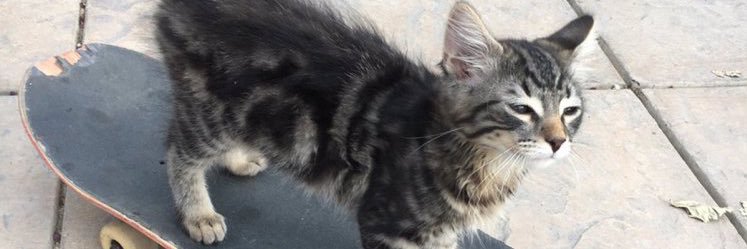 drcatalien's profile banner image