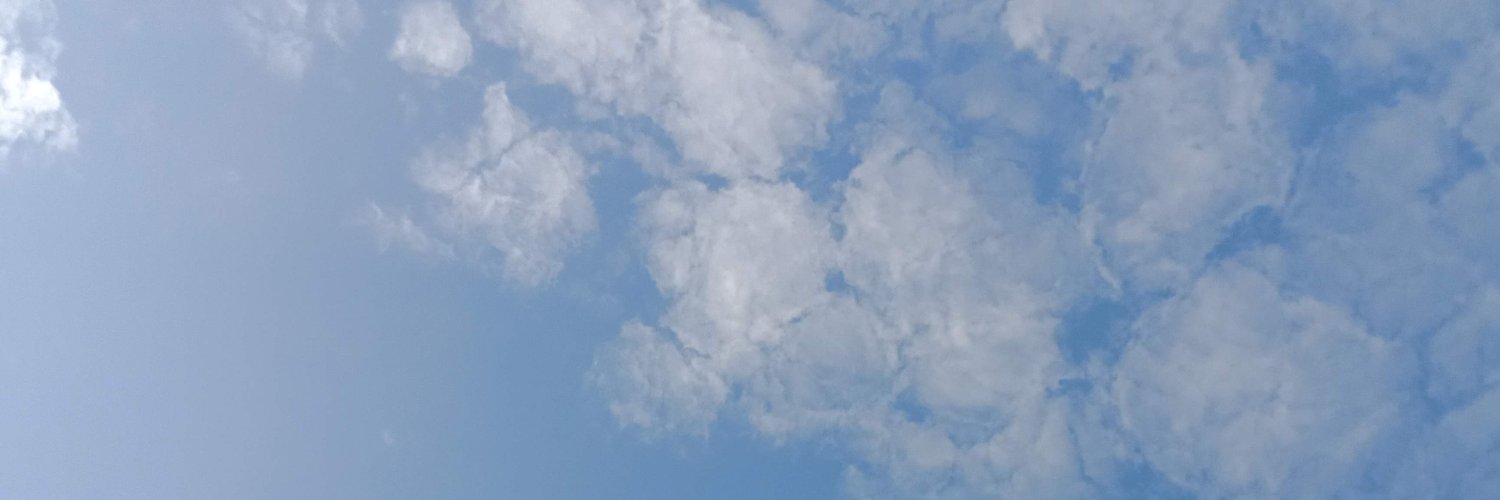 heraminerva's profile banner image