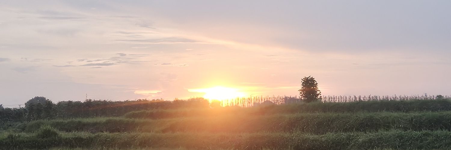 AndiTaru's profile banner image