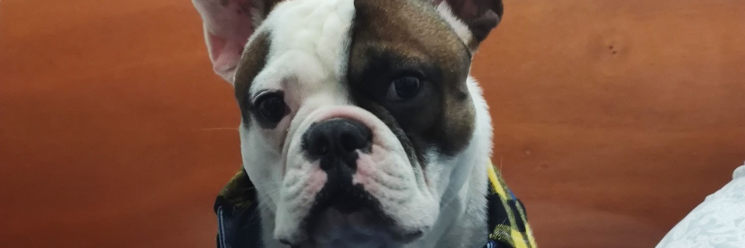 pacojtv's profile banner image